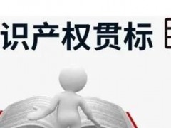 知識(shí)產(chǎn)權(quán)貫標(biāo)申請(qǐng)條件、流程、貫標(biāo)輔導(dǎo)周期一覽