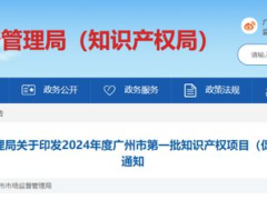 廣州啟動2024年度第一批知識產(chǎn)權(quán)項目（促進類）申報，最高獎勵300萬！