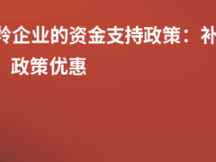 瞪羚企業(yè)的資金支持政策:補貼金額、政策優(yōu)惠